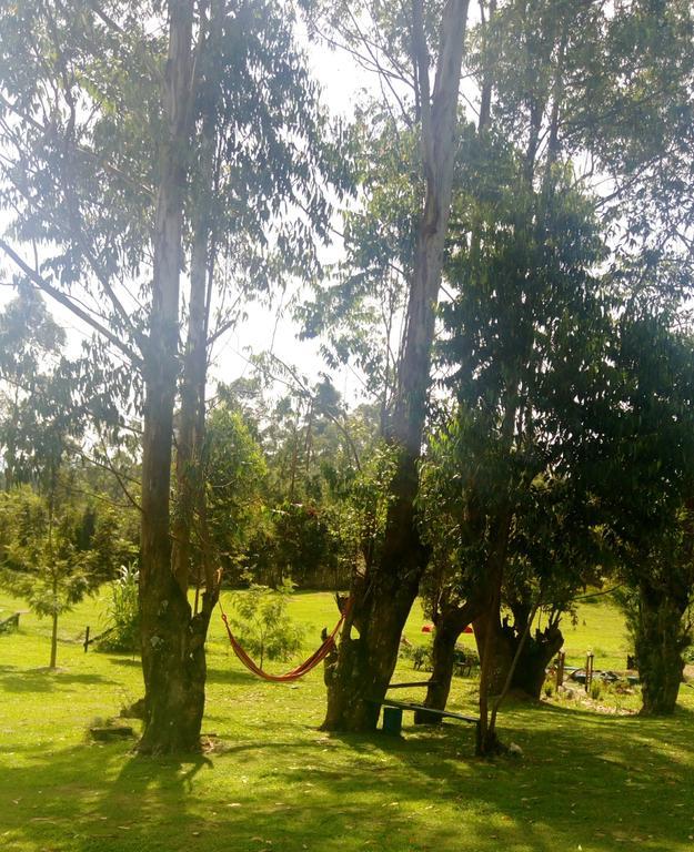 Kalitusi Nature Resort Fort Portal ภายนอก รูปภาพ