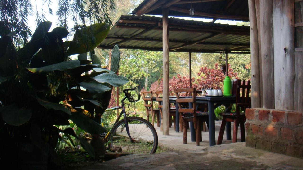 Kalitusi Nature Resort Fort Portal ภายนอก รูปภาพ